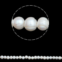 Potato Cultured Freshwater Pearl Beads, natural, white, 11-12mm Approx 3mm Approx 15.3 Inch 