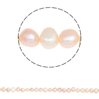 Perles nacres baroques de culture d'eau douce , perle d'eau douce cultivée, naturel, rose, 6-7mm Environ 0.8mm Environ 15 pouce, Vendu par brin