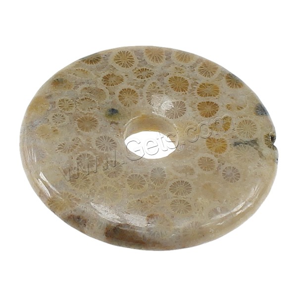 коралловый ископаемый подвеска, Плоская круглая форма, натуральный, разный размер для выбора, продается PC
