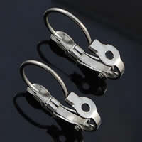 304 Stainless Steel Lever Back Earring Wires, original color 
