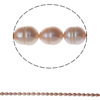 Rice Cultured Freshwater Pearl Beads, natural, light purple, Grade A, 8-9mm Approx 0.8mm Approx 14.3 Inch 