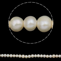 Perlas Patata Freshwater, Perlas cultivadas de agua dulce, natural, Blanco, 8-9mm, agujero:aproximado 1.5mm, longitud:aproximado 15 Inch, Vendido por Sarta