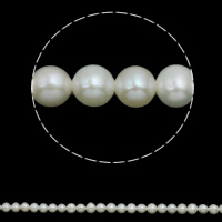 Perlas Patata Freshwater, Perlas cultivadas de agua dulce, natural, Blanco, 5-6mm, agujero:aproximado 0.8mm, longitud:aproximado 15.3 Inch, Vendido por Sarta