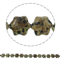 Abalorio de Piedra Dalmata, dálmata, Flor, natural, 13x15x5mm, agujero:aproximado 1.5mm, longitud:aproximado 15.7 Inch, aproximado 28PCs/Sarta, Vendido por Sarta