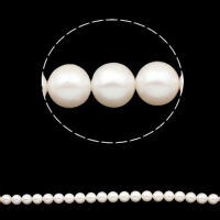 Round Cultured Freshwater Pearl Beads, natural, white, Grade AAA, 12-13mm Approx 0.8mm Inch 