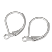 Stainless Steel Lever Back Earring Component, original color Approx 1mm 