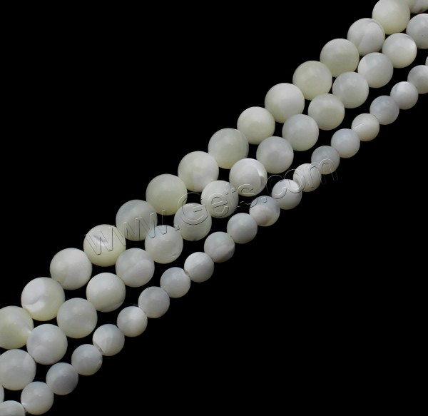 Trochus Beads, Round, natural, different size for choice, white, Hole:Approx 1mm, Length:Approx 15.7 Inch, Sold By Strand
