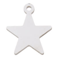 Stainless Steel Star Pendant, original color Approx 0.5mm 