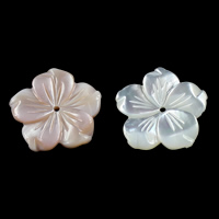 La Perla de Concha Natural, Nácar, Flor, diferentes materiales para la opción, 15.5x15x2mm, agujero:aproximado 1mm, Vendido por UD