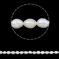 Barock kultivierten Süßwassersee Perlen, Natürliche kultivierte Süßwasserperlen, natürlich, weiß, 8-9mm, Bohrung:ca. 0.8mm, Länge:ca. 14.7 ZollInch, verkauft von Strang