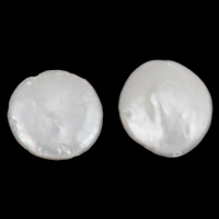 Naturel d'eau douce perles, perle d'eau douce cultivée, pièce de monnaie, blanc, 11-12mm Environ 0.8mm Vendu par sac