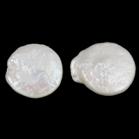 Naturel d'eau douce perles, perle d'eau douce cultivée, pièce de monnaie, blanc, 14mm Environ 0.8mm Vendu par sac