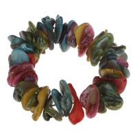 Dyed Shell Bracelet, Freshwater Shell, multi-colored - Approx 6.5 Inch 
