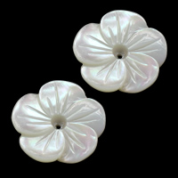 Бусины из натуральных белых ракушек, Белая ракушка, Форма цветка, натуральный отверстие:Приблизительно 0.5mm, продается PC