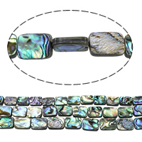 Abalone Shell Beads, Rectangle, natural 