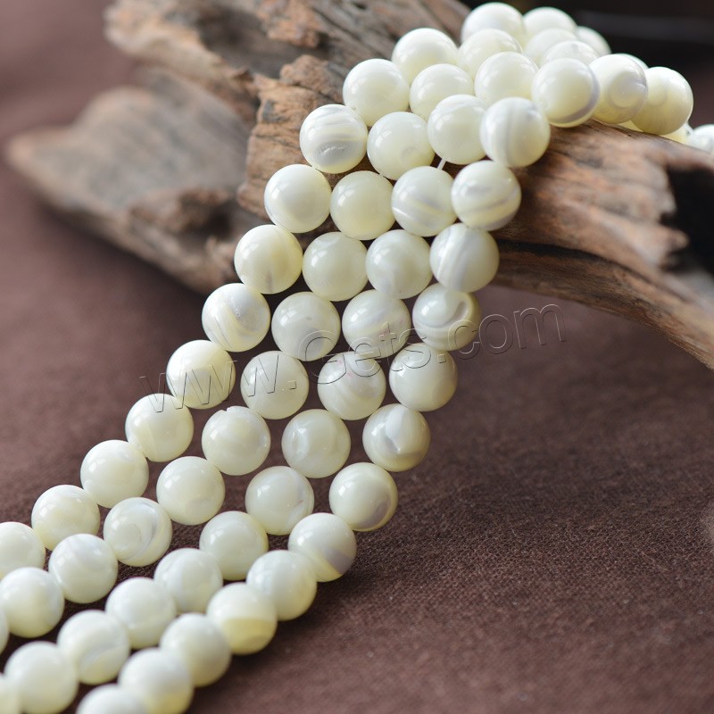 Turbanschnecken Perlen, rund, plattiert, verschiedene Größen vorhanden, weiß, Bohrung:ca. 1mm, Länge:ca. 15.5 ZollInch, verkauft von Strang