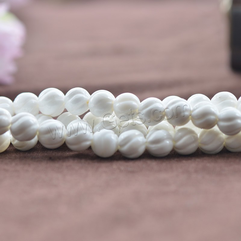 Perles de cannelé bénitiers, géant cannelé, spiral, naturel, normes différentes pour le choix, blanc, Trou:Environ 1mm, Longueur:Environ 15.5 pouce, Vendu par brin