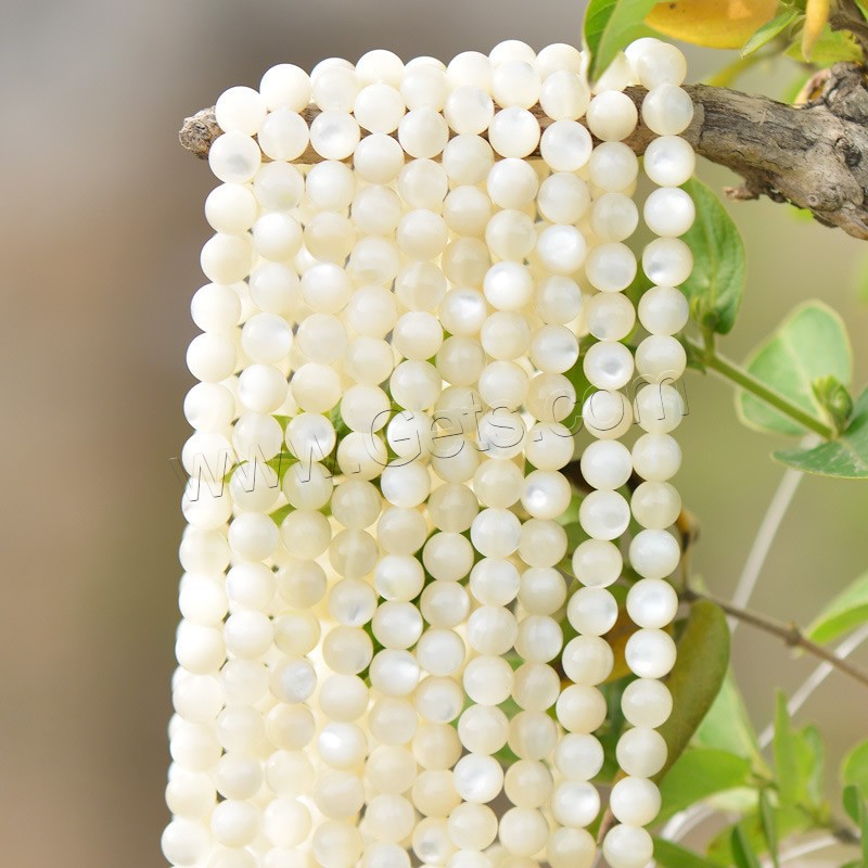 Perles en coquille naturel, Rond, normes différentes pour le choix, blanc, Trou:Environ 1mm, Longueur:Environ 15.5 pouce, Vendu par brin