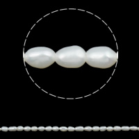 Rice Cultured Freshwater Pearl Beads, natural, white, 2-3mm Approx 0.8mm Approx 15 Inch 