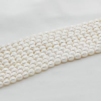 Perles d'eau douce de culture de riz, perle d'eau douce cultivée, naturel, blanc, 8mm Environ 0.8mm Environ 15 pouce, Vendu par brin