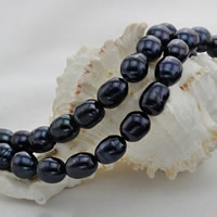 Rice Cultured Freshwater Pearl Beads, black, 10-11mm Approx 0.8mm Approx 15 Inch 