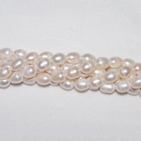 Rice Cultured Freshwater Pearl Beads, natural, white, 10-11mm Approx 0.8mm Approx 15 Inch 