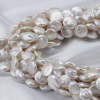 Coin Cultured Freshwater Pearl Beads, natural, white, 12-13mm Approx 0.8mm Approx 15 Inch 