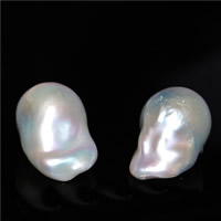 Perlas Freshwater Perforadas, perlas cultivadas nucleadas de agua dulce, Keishi, natural, perforado medio, Blanco, 15mm, agujero:aproximado 0.8mm, Vendido por UD