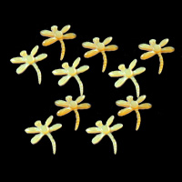 Gelbe Muschel Cabochon, Libelle, natürlich, 18x20mm, verkauft von PC