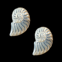White Shell Cabochon, Conch, natural 