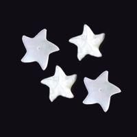 Natural White Shell Beads, Starfish, half-drilled, 15mm Approx 1mm 
