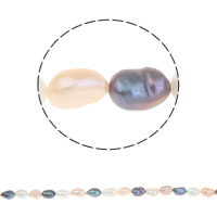Barock kultivierten Süßwassersee Perlen, Natürliche kultivierte Süßwasserperlen, gemischte Farben, 8-9mm, Bohrung:ca. 1mm, Länge:ca. 15 ZollInch, verkauft von Strang