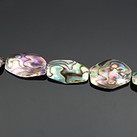 Abalone Shell Beads, Oval, 16-22mm Inch 