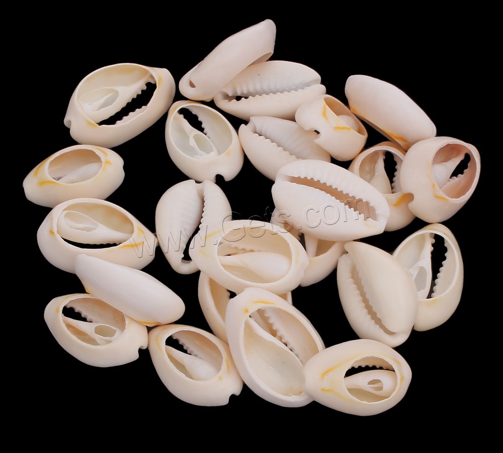 Trumpet Shell Beads, natural, different size for choice & no hole, 13x19x7mm-18x26x8mm, Approx 606PCs/KG, Sold By KG