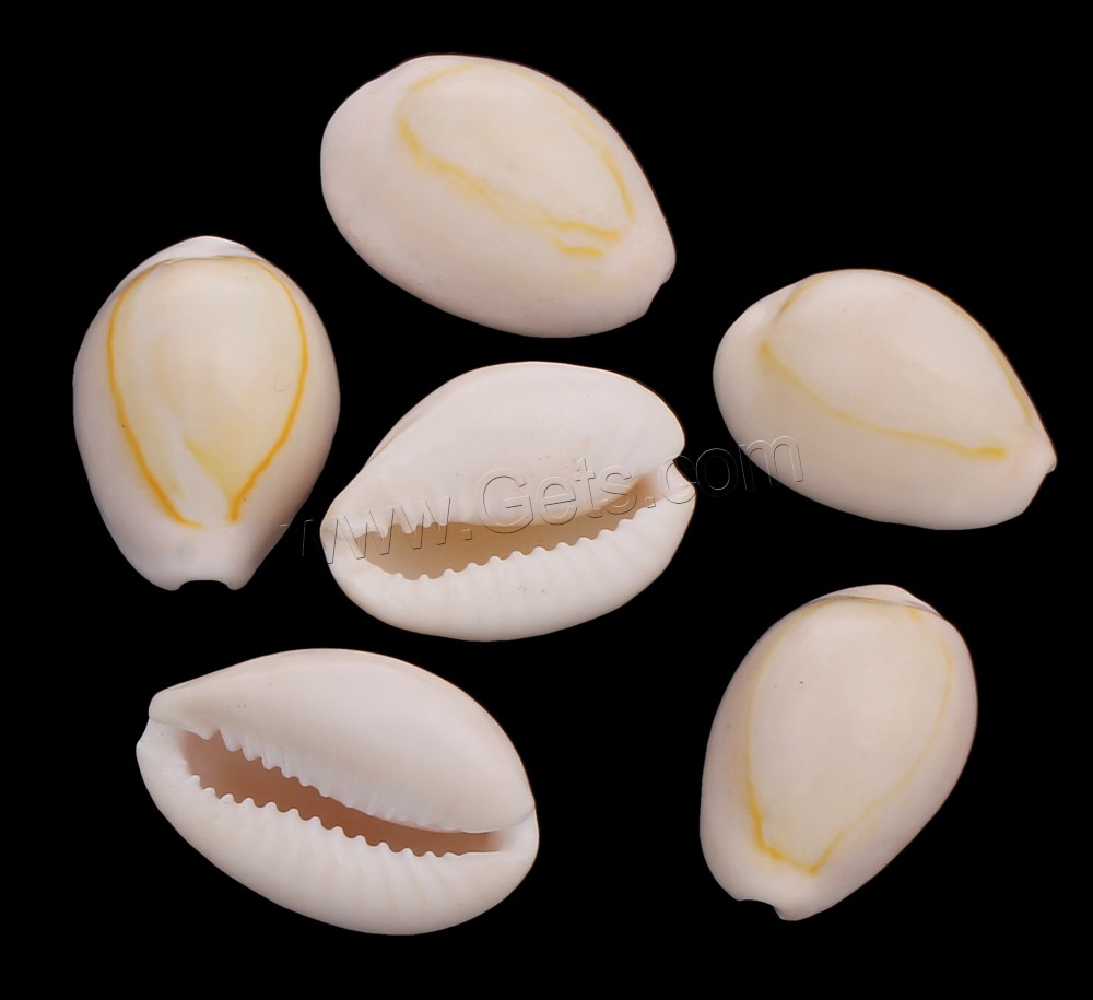 Trumpet Shell Beads, natural, different size for choice & no hole, Sold By KG