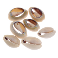Trumpet Shell Beads, natural, no hole - Approx 