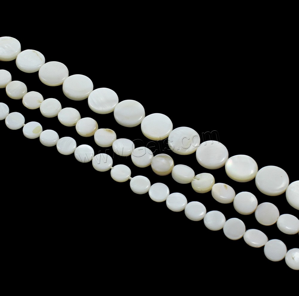 Perles en coquillage blanc naturel, coquille blanche, Plat rond, normes différentes pour le choix, Trou:Environ 0.5mm, Longueur:Environ 15 pouce, Vendu par brin