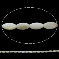 天然白いシェル・ビーズ, 白い貝, 卵形 穴:約 0.5mm, 長さ:約 15 インチ, 約 48パソコン/ストランド, 売り手 ストランド