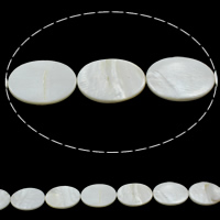 天然白いシェル・ビーズ, 白い貝, フラットオーバル 穴:約 0.5mm, 長さ:約 15 インチ, 約 11パソコン/ストランド, 売り手 ストランド