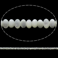 Natural White Shell Beads, Flat Round Approx 0.5mm Approx 15.5 Inch, Approx 