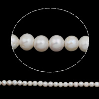 Perle comme Pommes de terre perles d'eau douce, perle d'eau douce cultivée, pomme de terre, naturel, multiple tailles pour le choix, plus de couleurs à choisir, grade A, 10-11mm Environ 0.8mm pouce, Vendu par brin