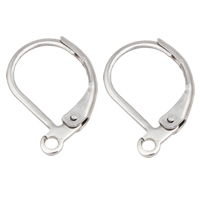 Stainless Steel Lever Back Earring Component, original color 