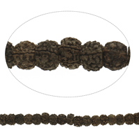 Rudraksha Beads, Rondelle, original color - Approx 2.5mm Approx 15.5 Inch, Approx 