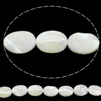 Natural White Shell Beads, Flat Oval Approx 0.8mm Approx 15hole Inch, Approx 