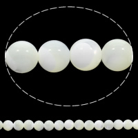 Natürliche weiße Muschelperlen, rund, 6mm, Bohrung:ca. 1mm, Länge:ca. 15.5 ZollInch, ca. 65PCs/Strang, verkauft von Strang