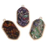 Resin Zinc Alloy Pendants, with Resin, gold color plated, imitation shell lead & cadmium free Approx 