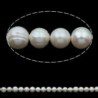 Perlas Patata Freshwater, Perlas cultivadas de agua dulce, natural, Blanco, 9-10mm, agujero:aproximado 0.8mm, longitud:aproximado 14.5 Inch, Vendido por Sarta