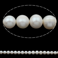 Perlas Patata Freshwater, Perlas cultivadas de agua dulce, natural, Blanco, 12-15mm, agujero:aproximado 0.8mm, longitud:aproximado 15.5 Inch, Vendido por Sarta