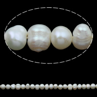 Perlas Patata Freshwater, Perlas cultivadas de agua dulce, natural, Blanco, 5-6mm, agujero:aproximado 0.8mm, longitud:aproximado 14 Inch, Vendido por Sarta