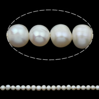 Perlas Patata Freshwater, Perlas cultivadas de agua dulce, natural, Blanco, 5-6mm, agujero:aproximado 0.8mm, longitud:aproximado 14 Inch, Vendido por Sarta